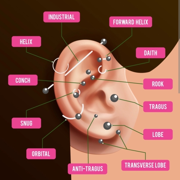 Do you have several ear piercings? Please can I see?