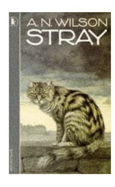 Help to identify a book from my primary school days