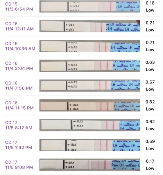 Hoping for a BFP October/November