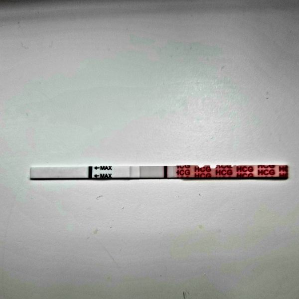 Looking for TWW buddies....