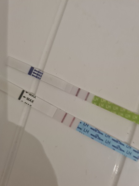 2 days late BFN- What is the latest anyone has had a BFP...