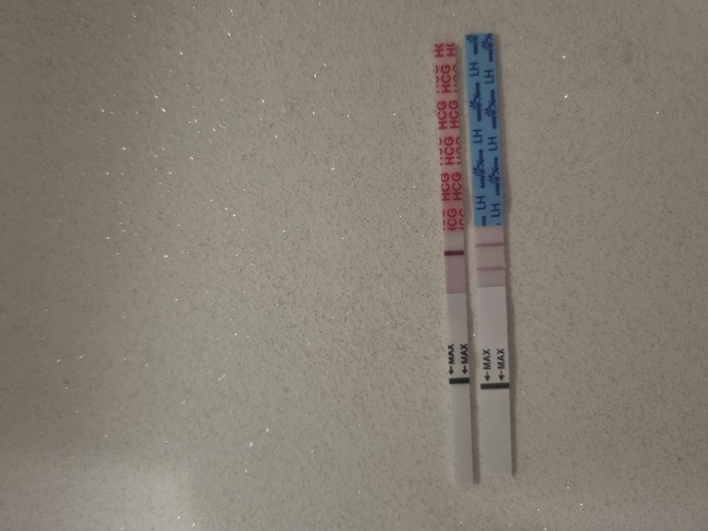 Looking for TWW buddies....