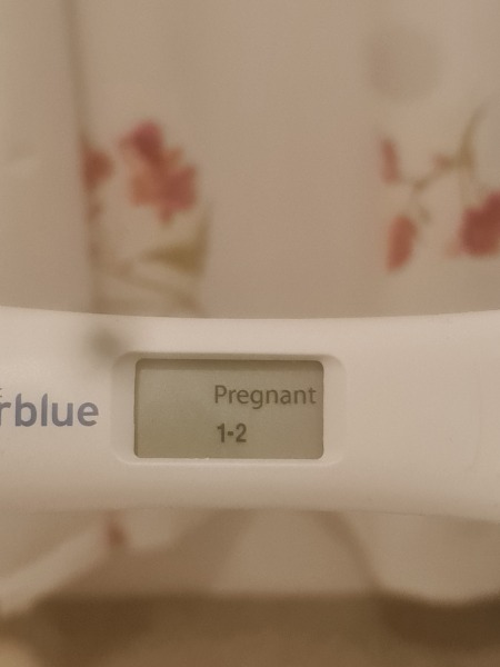 IVF - Stims Aug - Egg Collection Sep