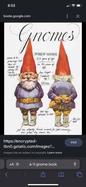 When did all the Scandinavian gnomes become Gonks? 