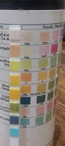 Could a 'trace of nitrates' be a UTI?