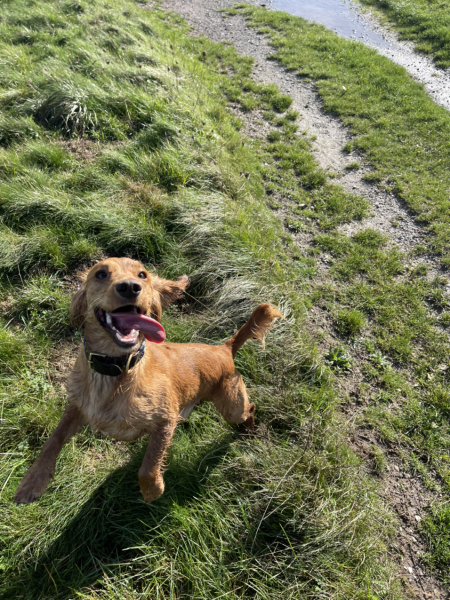 My beautiful boy