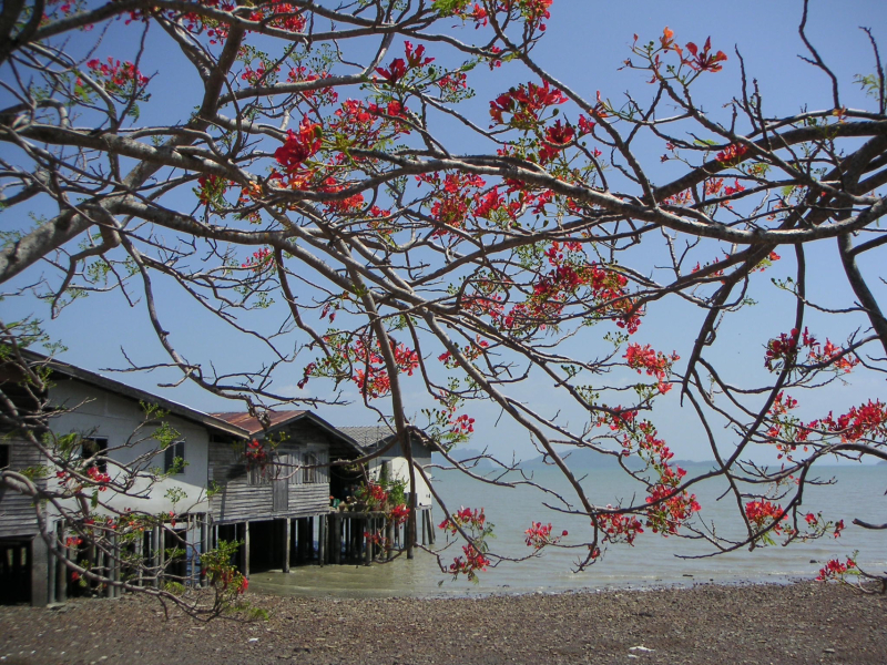 It's Crochet,  Knit & Natter 9: So Many Projects, So Little Time. (Oh well - I almost made it rhyme!)