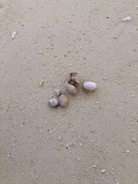 Come and tell me your dull and unexciting news 23: Calmly through the day 