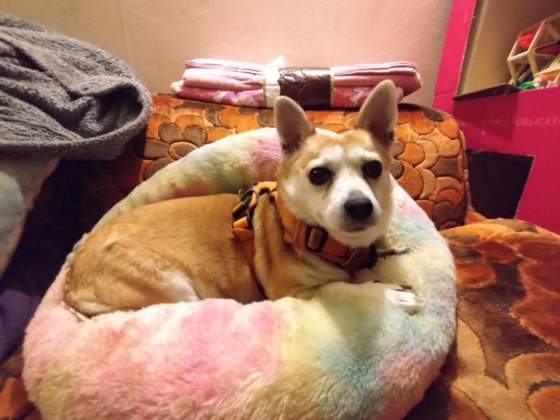 Thread 1 - Lifeboat Muster Point for TalkExiles