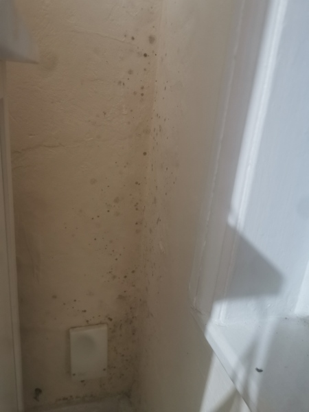 Just found mould (see photo). My responsibility to fix?