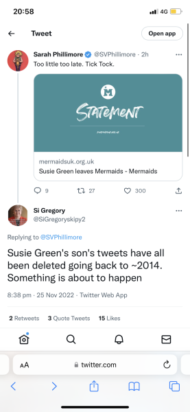 Change of CEO at mermaids…