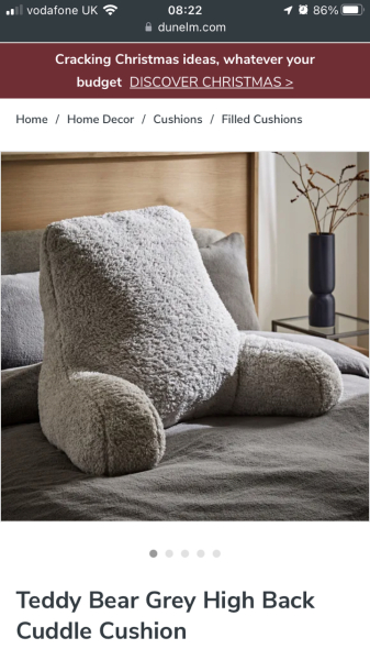 Bean bags for 10 and 9 year old boys?