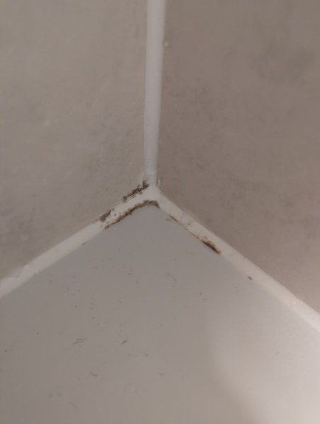 Best way to remove black mould from bathroom sealant?