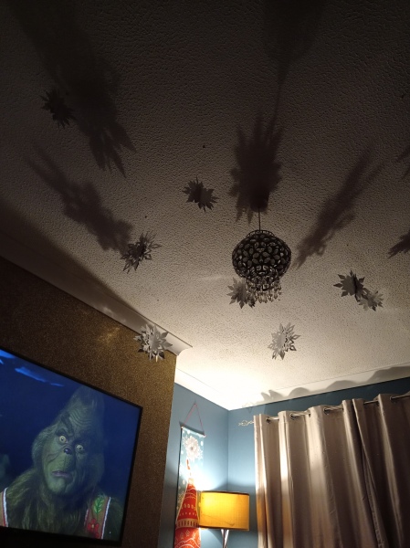 Can you pls share you ceiling decoration ideas?