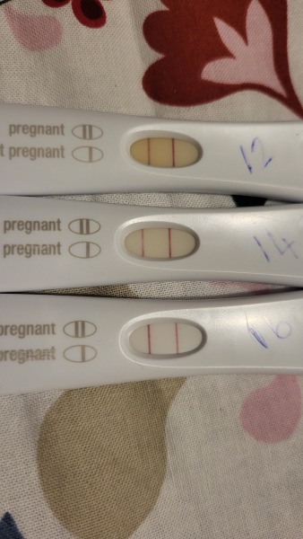 Due July 2023