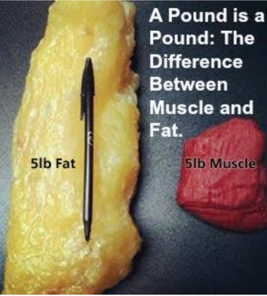 To ask why I look like a sack of spuds at my weight