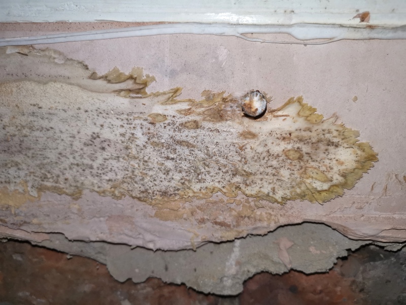 Anyone know about old houses who can speculate why my kitchen wall is like this?!