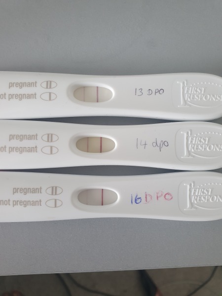 Bleeding in early pregnancy- please comment in you've had it?