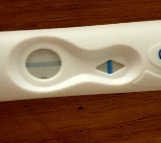 End of November testers (TTC August Baby)