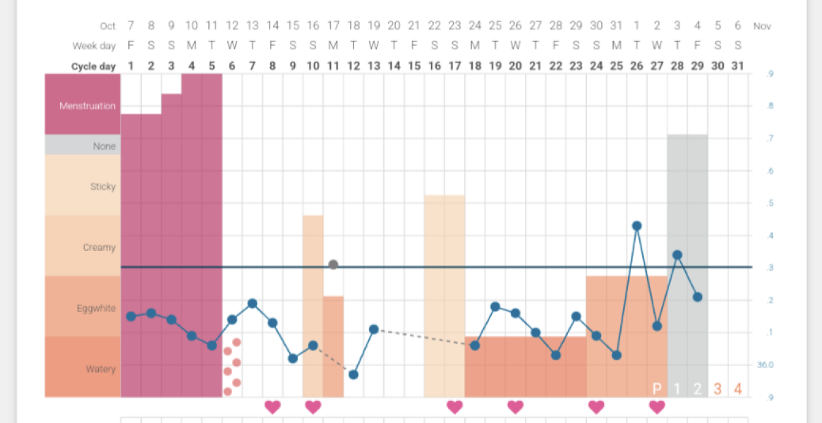 Have I ovulated? 