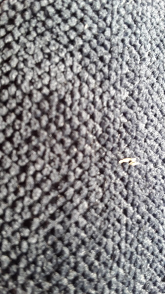 Thing I pulled out from my nose