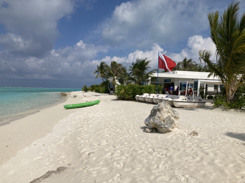 Come and tell me your dull and unexciting news 23: Calmly through the day 