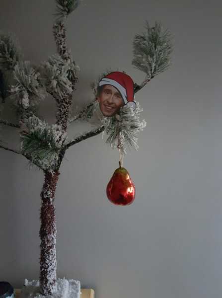 What goes on the top of your tree. 