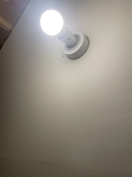 Weird light fitting - stuck on how to shade it?