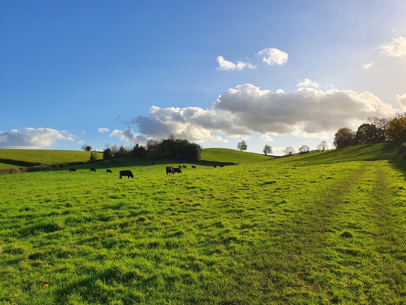 Come chat hiking with me!