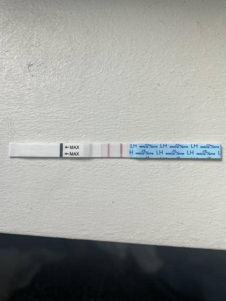 End of November testers (TTC August Baby)