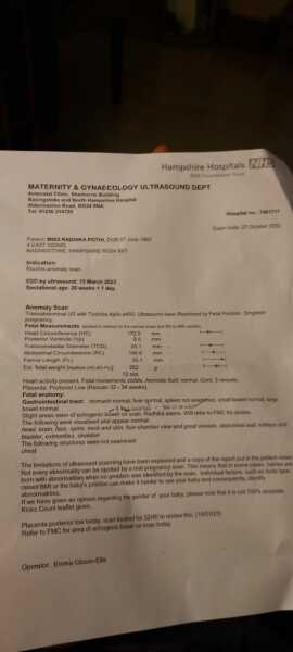 Echogenic bowel scare 