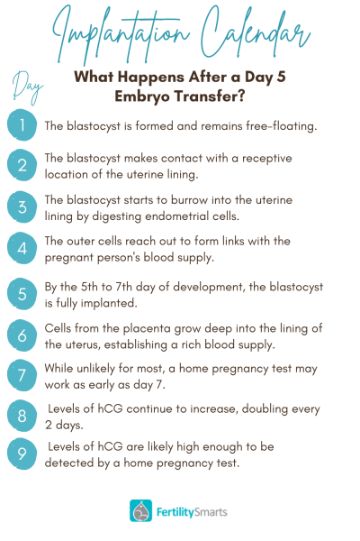 What IVF dose and how many eggs did you get?