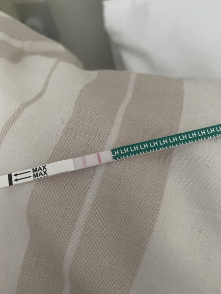 TMI warning ⚠️ pictures. Periods:ovulation after miscarriage 