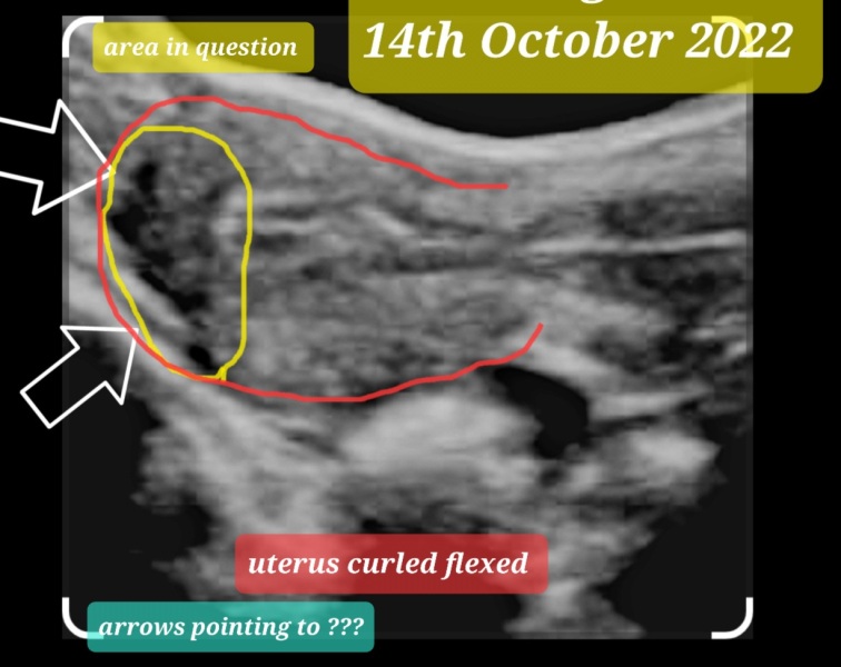 Due May 2023 - thread two