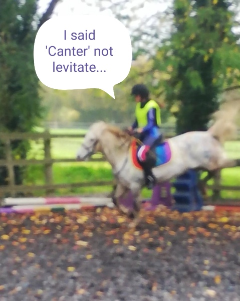 To feel sorry for people with horses?