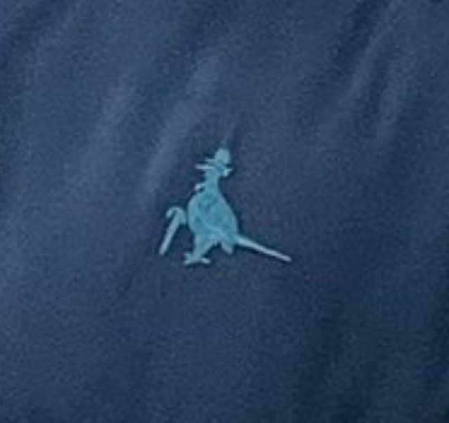What brand is this? (Pic attached) 