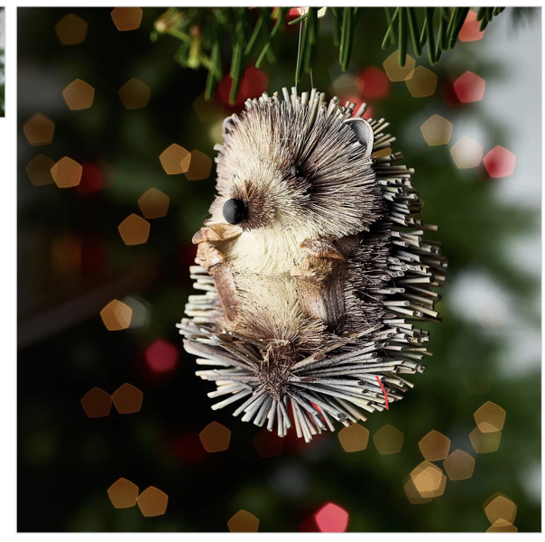 To ask you to please help hedgehogs and other wildlife prepare for winter