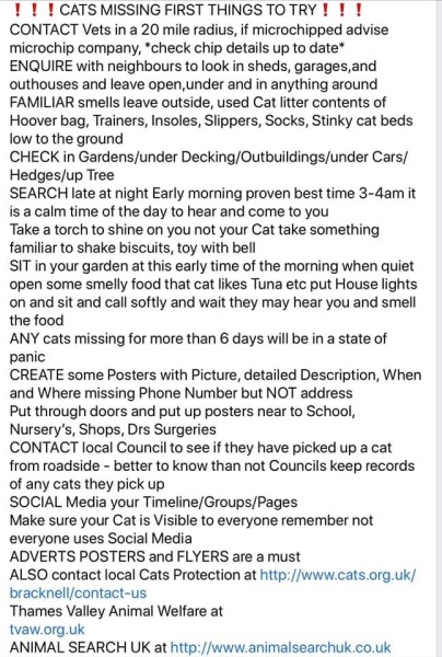 My Cat has been missing 2 days - Any more ideas on what I can do?