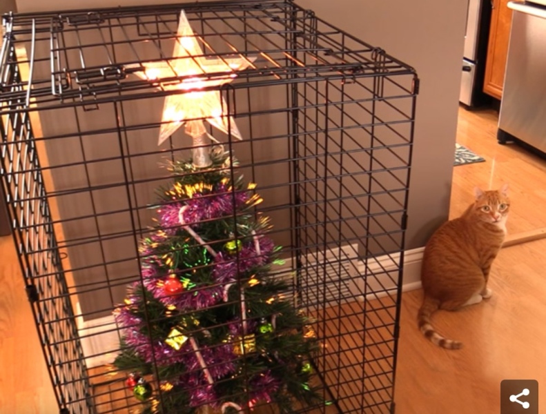 Christmas decs with kittens!