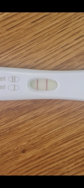 ICSI - embryo transfer complete!