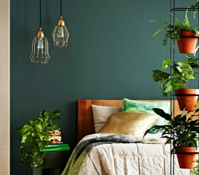 Help - What colour should I choose??