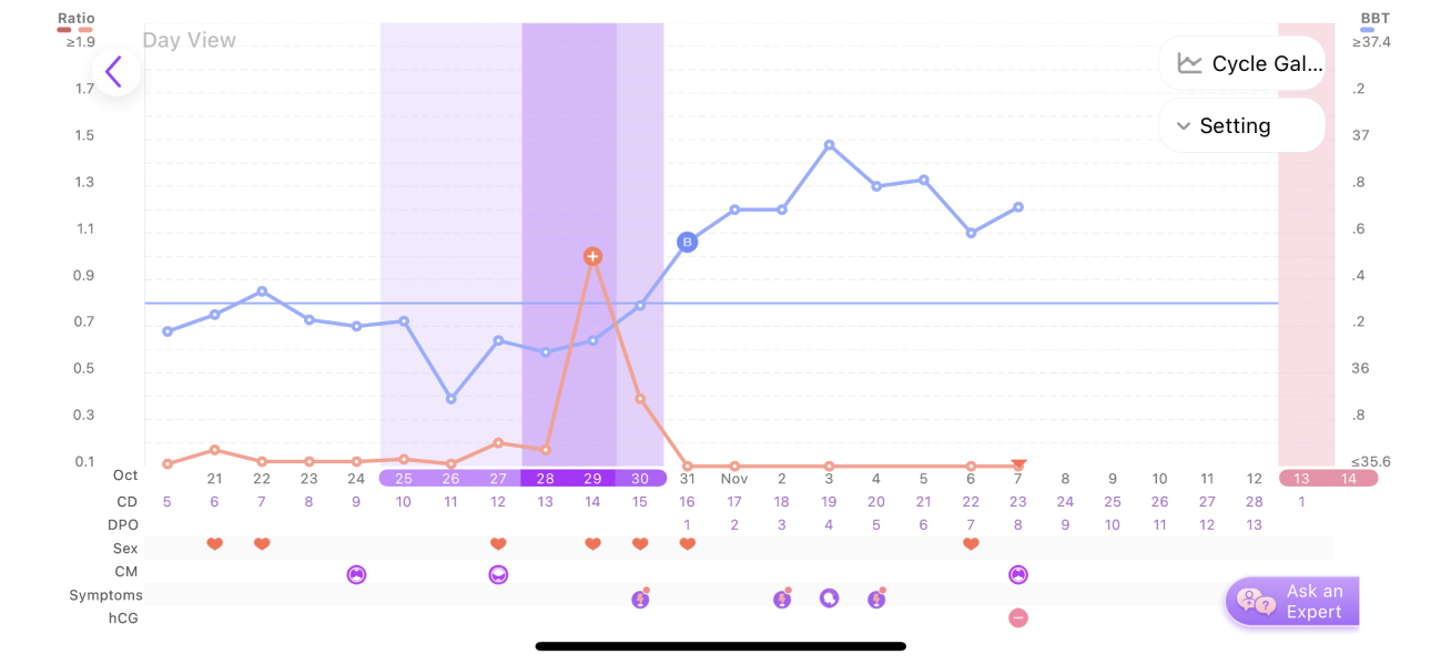 1-2 DPO time to TWW 31.10.2022