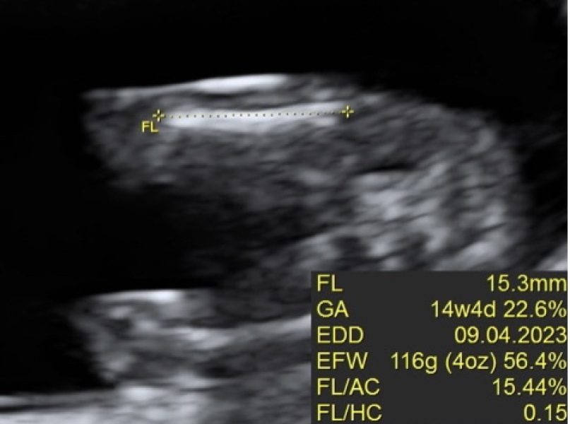 April 2023 - We’re nearly half way! ✨ 🍼