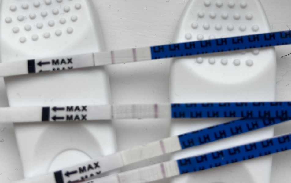 Does this look like a pos ovulation result?
