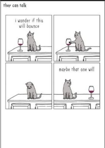 Help? I've acquired a very young kitten?