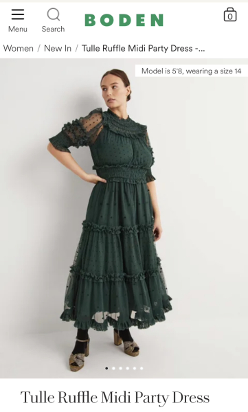 Christmas party dress