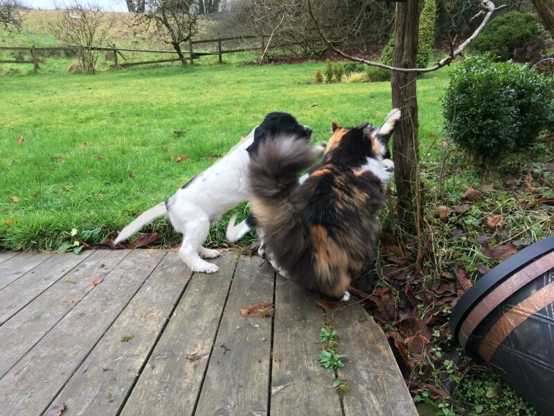 Thread 1 - Lifeboat Muster Point for TalkExiles