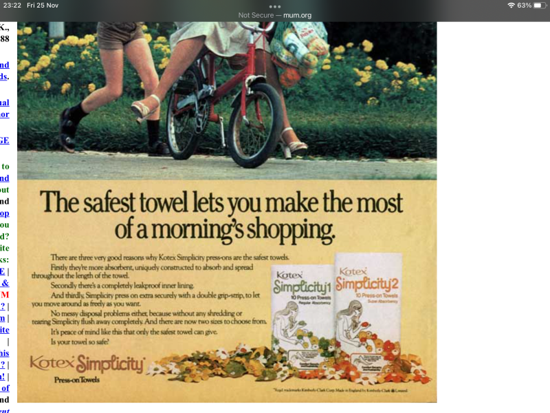 When people used newspaper (instead of loo roll) in the toilet in the past, did they flush it? 