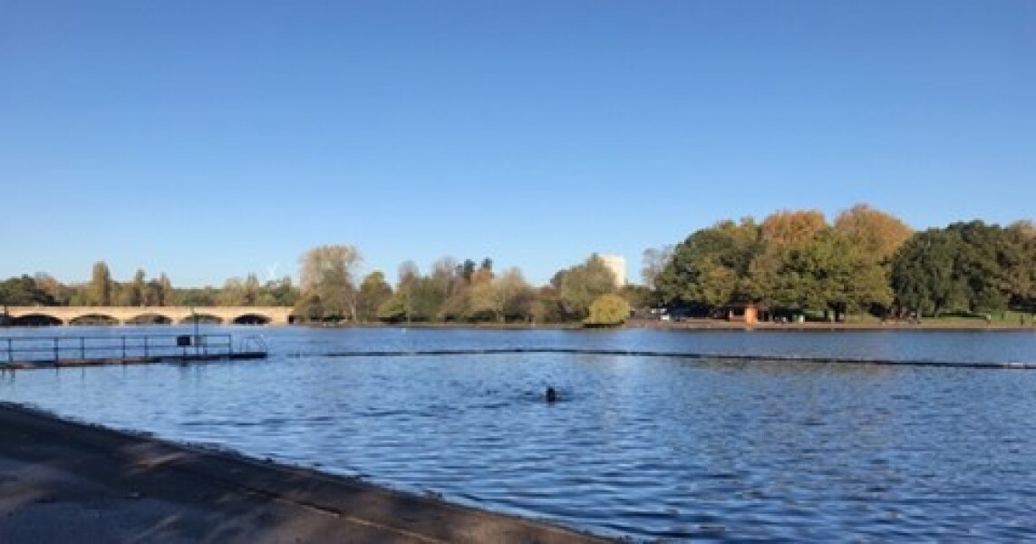 Cold water swimmers - anyone doing the polar bear/penguin challenge?