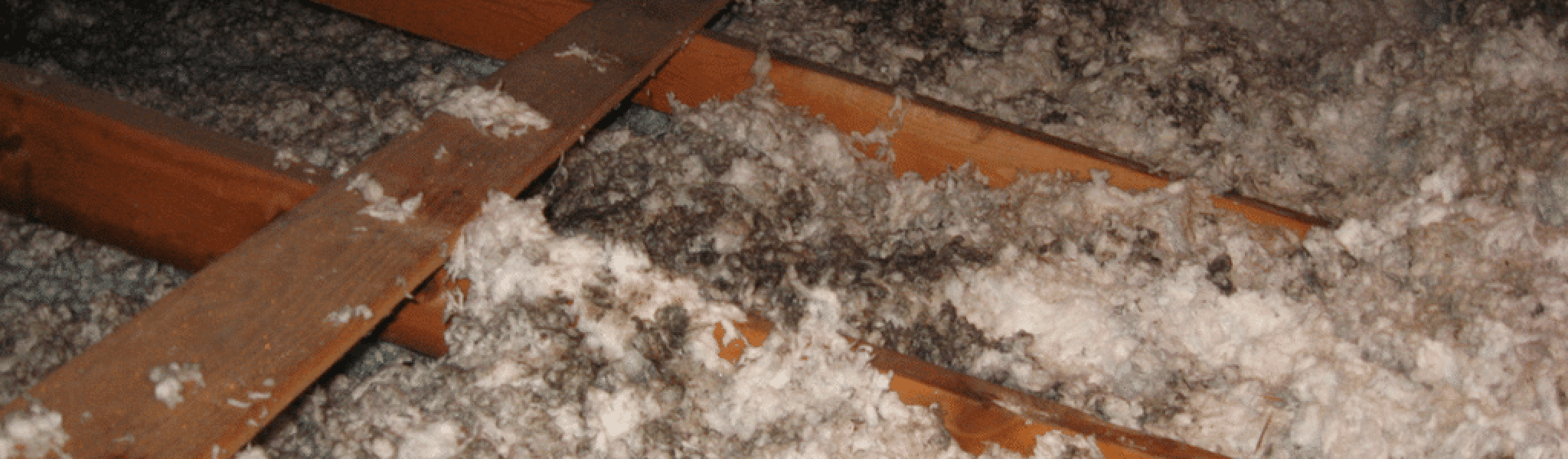 AIBU to expect the tenants to turn the heating up?